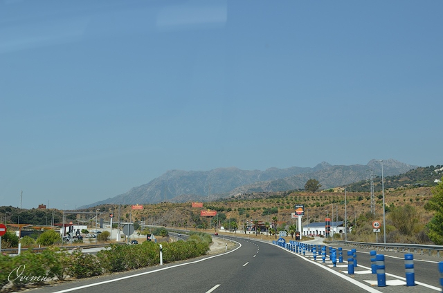 Кулинарная Испания . Записки отпускника.