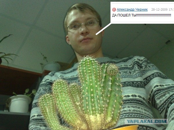 Что бывает, если поставить единицу на мейлрушечке