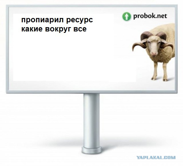 Водителей-хамов будут высмеивать плакатами