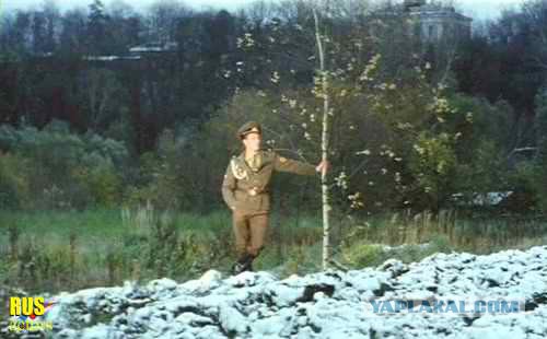 Черный волк