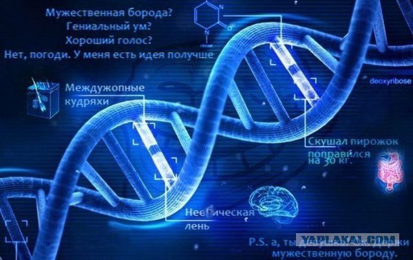 Постараюсь показать новую тему с картинками