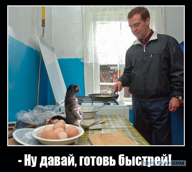 Фотожаба: Медведев жарит яишницу