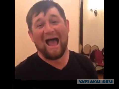 Обычные люди похожие на знаменитостей.