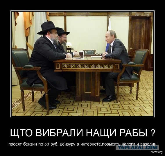 Кого из них мы выбрали?