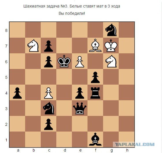 Конкурс решения шахматных задач. Сложные шахматные задачи. Шахматные задачи для начинающих. Задания по шахматам для детей. Шахматы задачи поле.