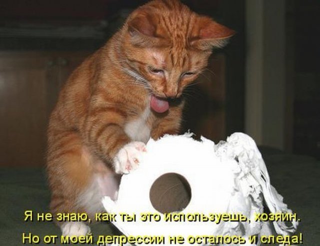 Забавные картинки из Сети