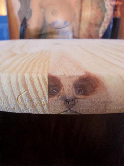 Реинкарнация существует!