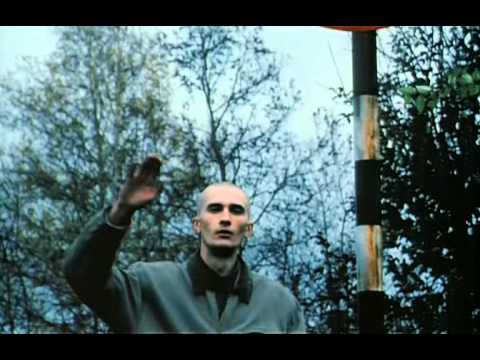 История одной дорожной подставы