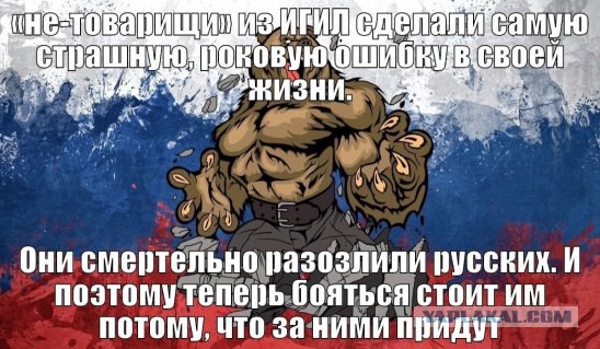 Гнев россиян на Турцию в карикатурах