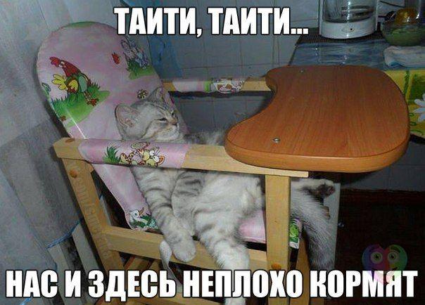 Немного картинок и демотиваторов