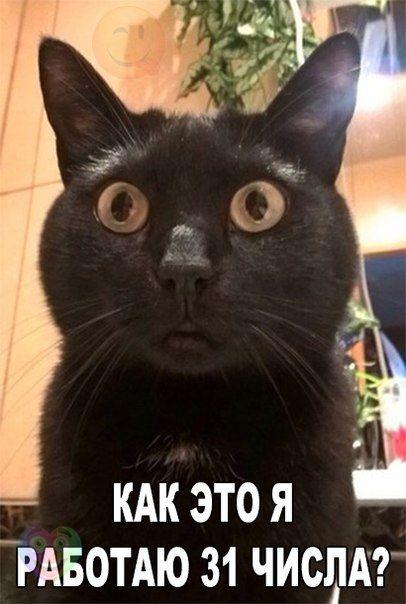 Картинки на утро вторника
