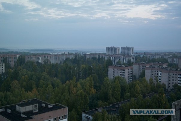 Как IT-шник в чернобыльской зоне побывал