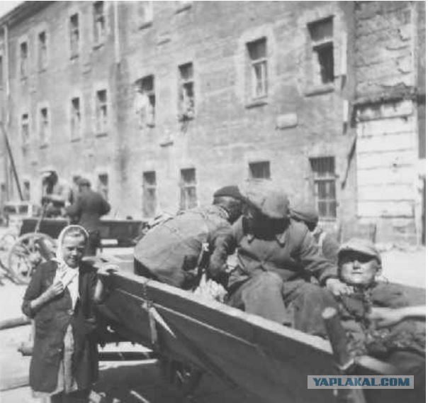 Частные фотографии войны немецкого солдата