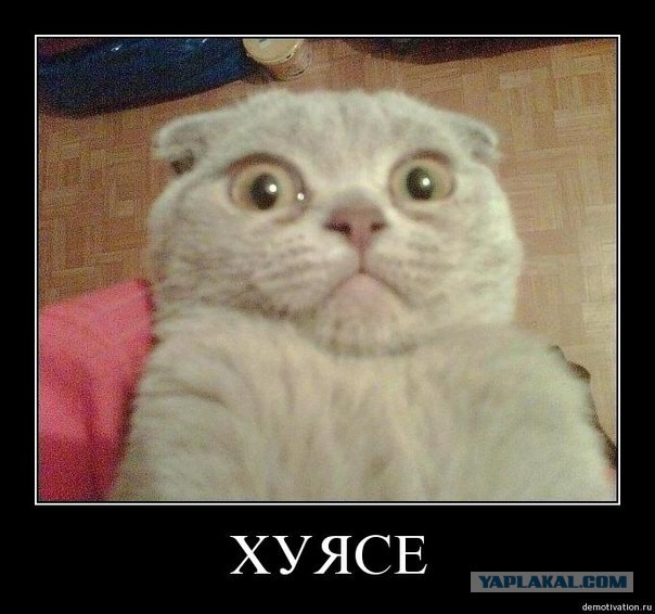 И она его разрезала