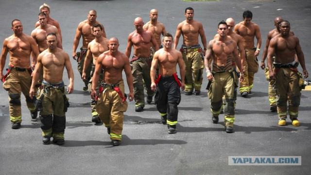 Подборка картинок 02.03.16