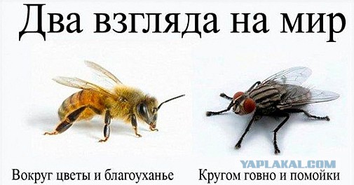 Контрабандные фотографии из Северной Кореи: Ким Чен Ын не одобряет!