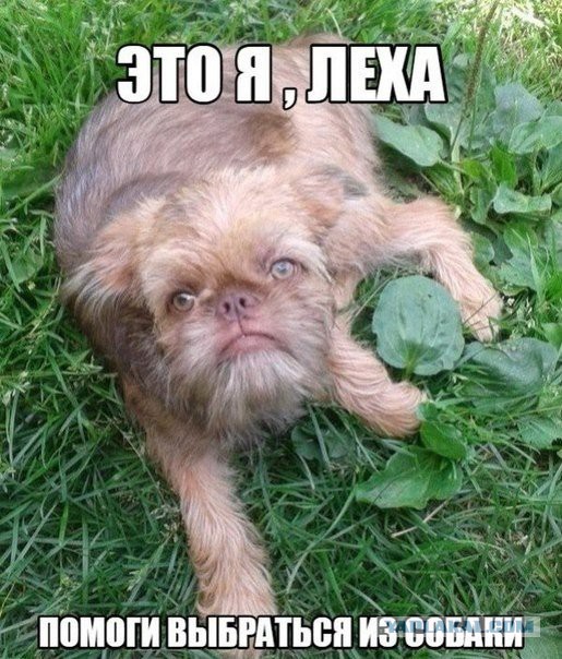 Парень Лёша