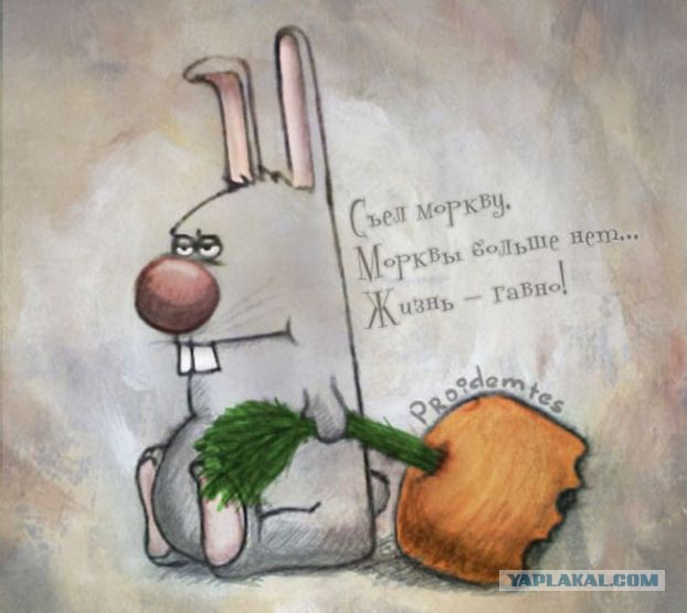 Смешные комментарии 27.03.2016