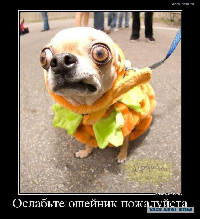 Просто 30 картинок из тырнета