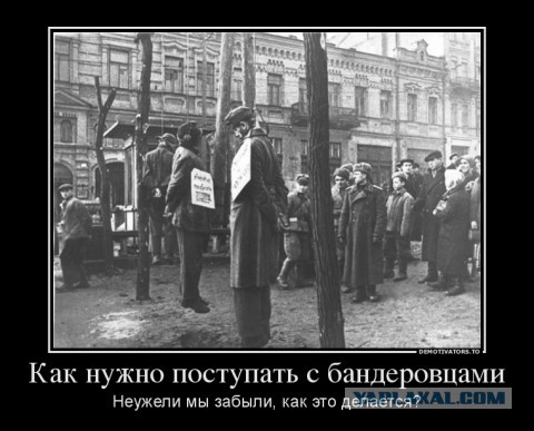 Столкновения с правоохранителями во Львове