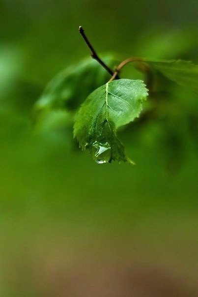 Интересные и веселые картинки