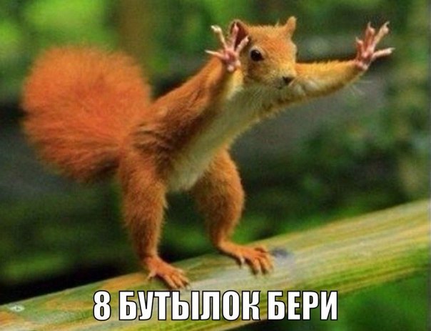 Трезвенникам, язвенникам - вход воспрещён!