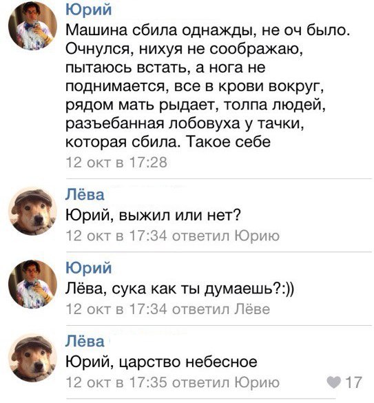 Ужасы и приколы из соцсетей 18+