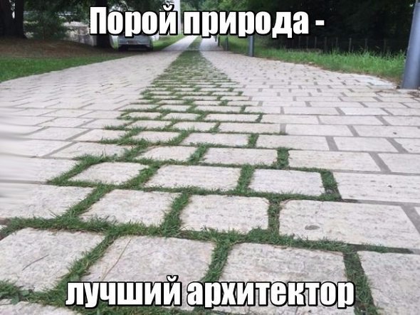 Немного картинок из этих ваших интернетов