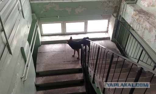Как умирают заводы...