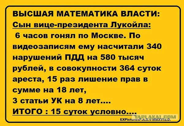 День открытых дверей в палате №6