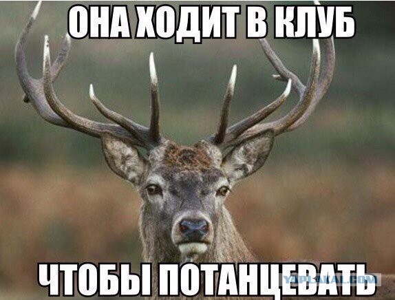 Жена изменяет? Или нет?
