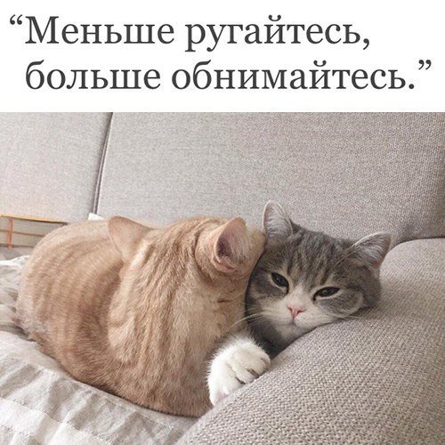 Абсурд и нарко трэш на новую неделю