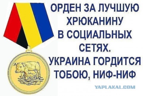 В память о русском герое Арсении Павлове (Моторола)