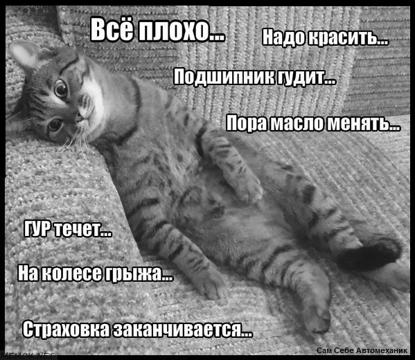 Ах. Этот прекрасный мир!
