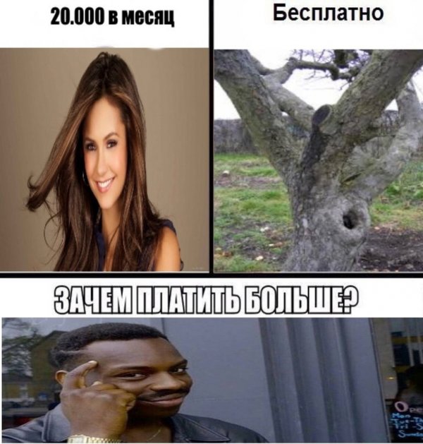 Приколы в стиле "регресс"