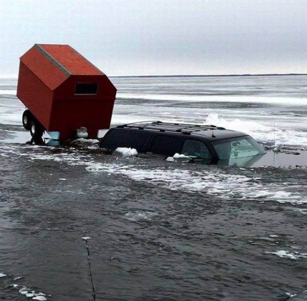 Забавных картинок не хотите ли?