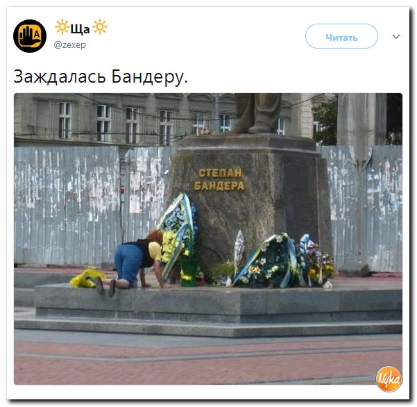Шо Опять? Прямые трансляции майдана в Киеве