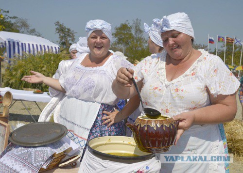 Девушки на хозяйстве