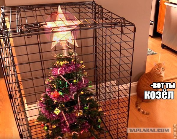 Просто картинки
