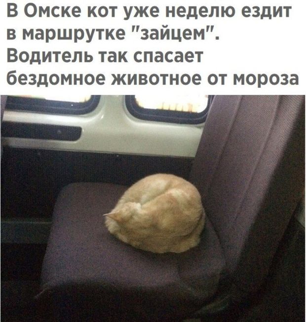 Подборка интересных и веселых картинок
