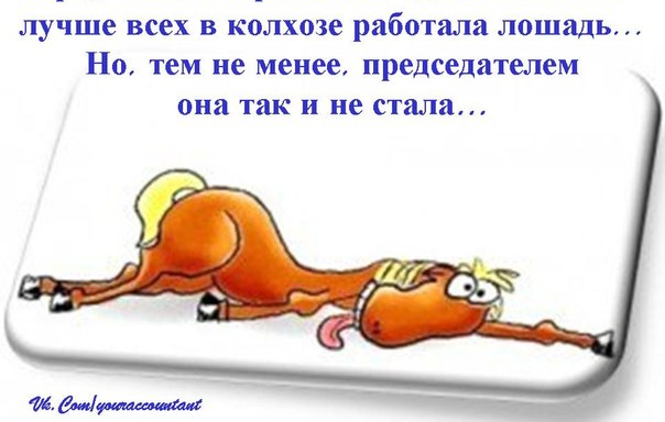 Собчак назвала референдум по Крыму "фальшивым" и призвала вступить в НАТО