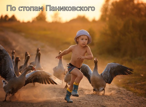 Подборка интересных и веселых картинок