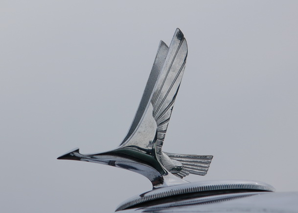 Авто Вернисаж на Неве.