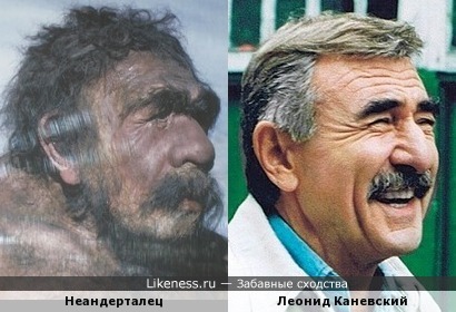 Разумный суперхищник - неандерталец