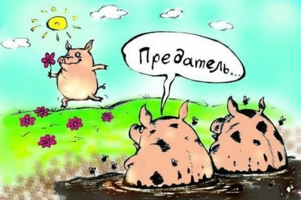 Илон Маск лично спустился в затопленную пещеру в Таиланде