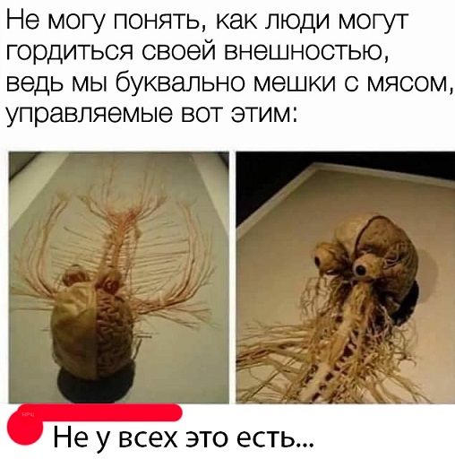 Прикольные комментарии и высказывания из Сети