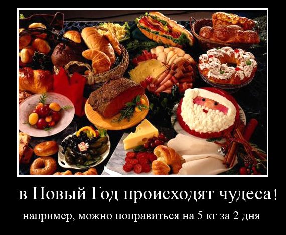 Новогодние приколы