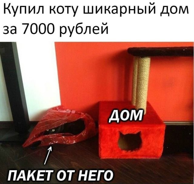 Смешные комментарии из социальных сетей 28.12.2018