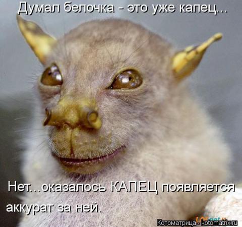 Ночью в приемном покое никто не кричал