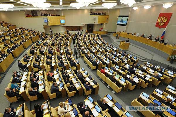 Ребенок рожденный без мозга, полноценно развивается и занимается серфингом
